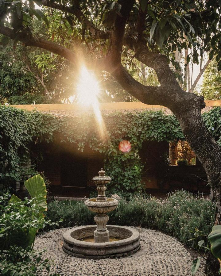 Quinta San Carlos Сан-Педро-Тесистан Экстерьер фото